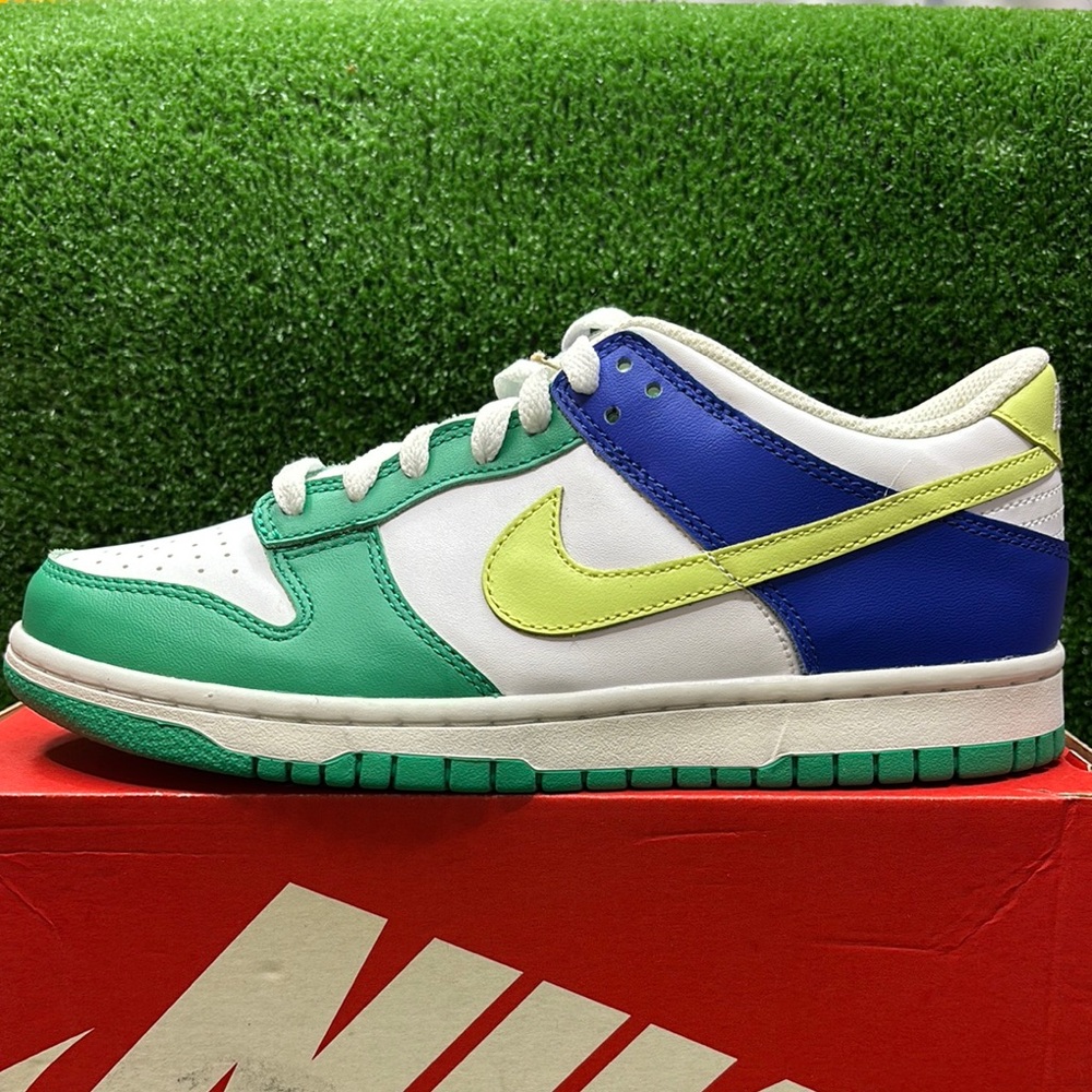 Nike Green and Blue Sneakers with Classic Dunk Silhouette